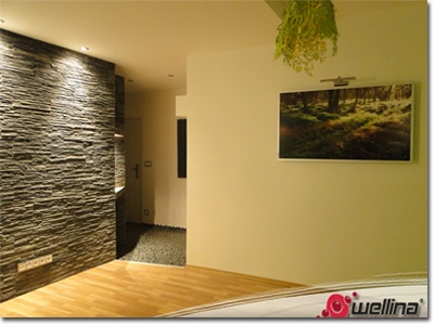 Infrapanely_Wellina Infrapanely_Wellina