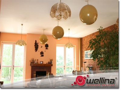 Infrapanely_Wellina Infrapanely_Wellina