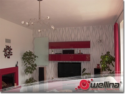 wellina_zd_5ba wellina_zd_5ba