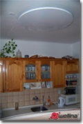 wellina_bv_2_s wellina_bv_2_s